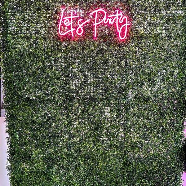 Greenery Photo Prop with Neon Sign for birthday parties