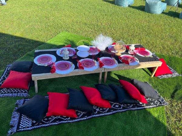 black and red themed luxury custom made picnic table sitting on a grass rug.