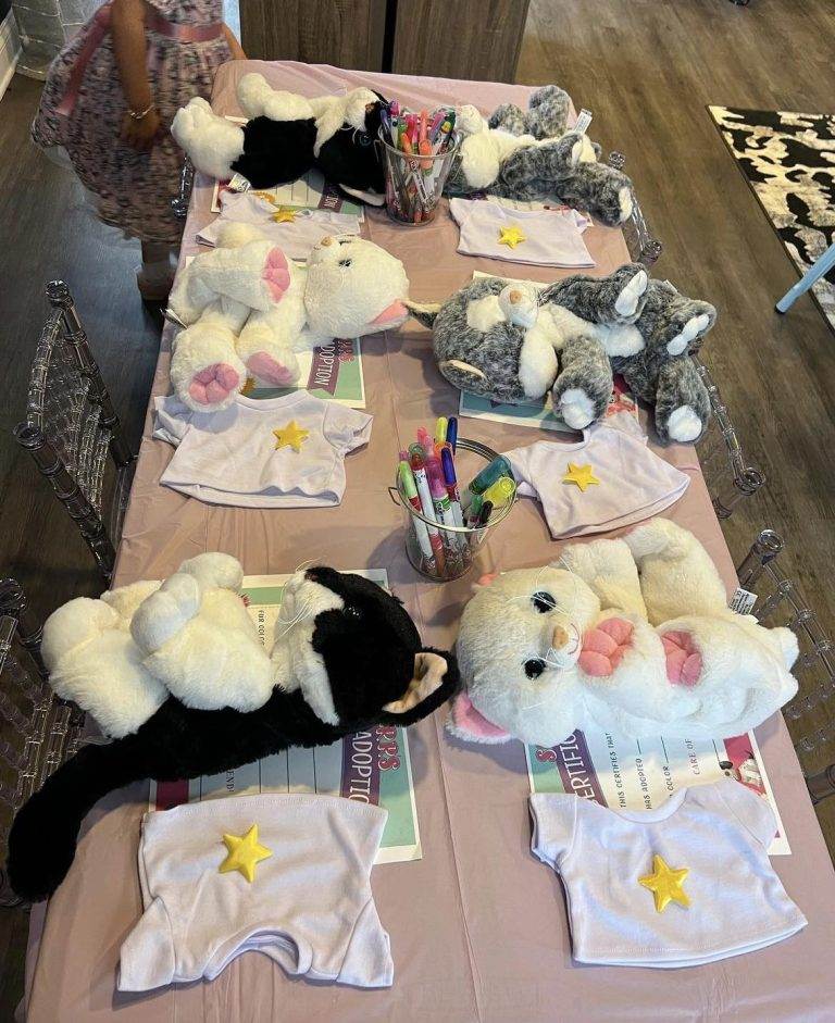 Mobile Build A Bear Party with stuffed animals that do not have stuffing. Sitting next to birth certificates and tshirts ready to be decorated.
