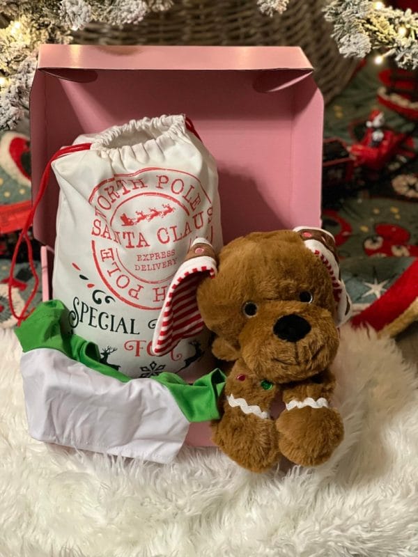 A Holiday Build-A-Bear Party Box is sitting in a gift bag next to a Christmas tree, surrounded by glamping decor.