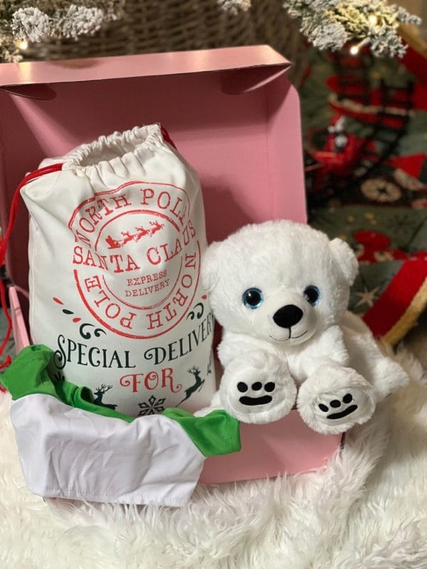 A Holiday Build-A-Bear Party Box sits in a pink gift box at a party.
