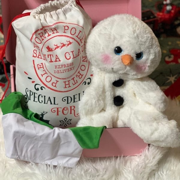 A Holiday Build-A-Bear Party Box sits in a pink gift bag at a party.